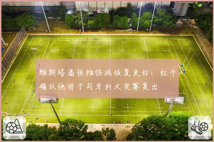 维斯塔潘颈椎伤病恢复良好，红牛确认他将于匈牙利大奖赛复出